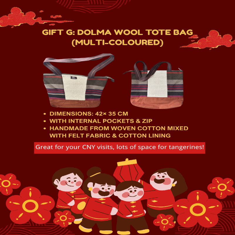 CNY Gift G: Dolma Wool Tote Bag (Multi Colored)